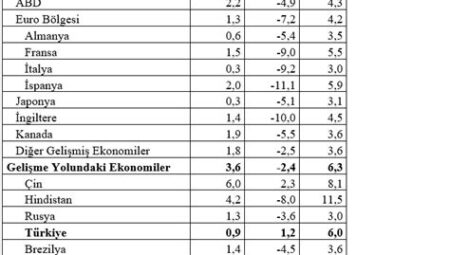 Küresel Ekonomik Büyüme ve Türkiye’nin Yeri